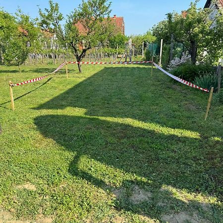 Guest House Lona Golubac Exterior photo