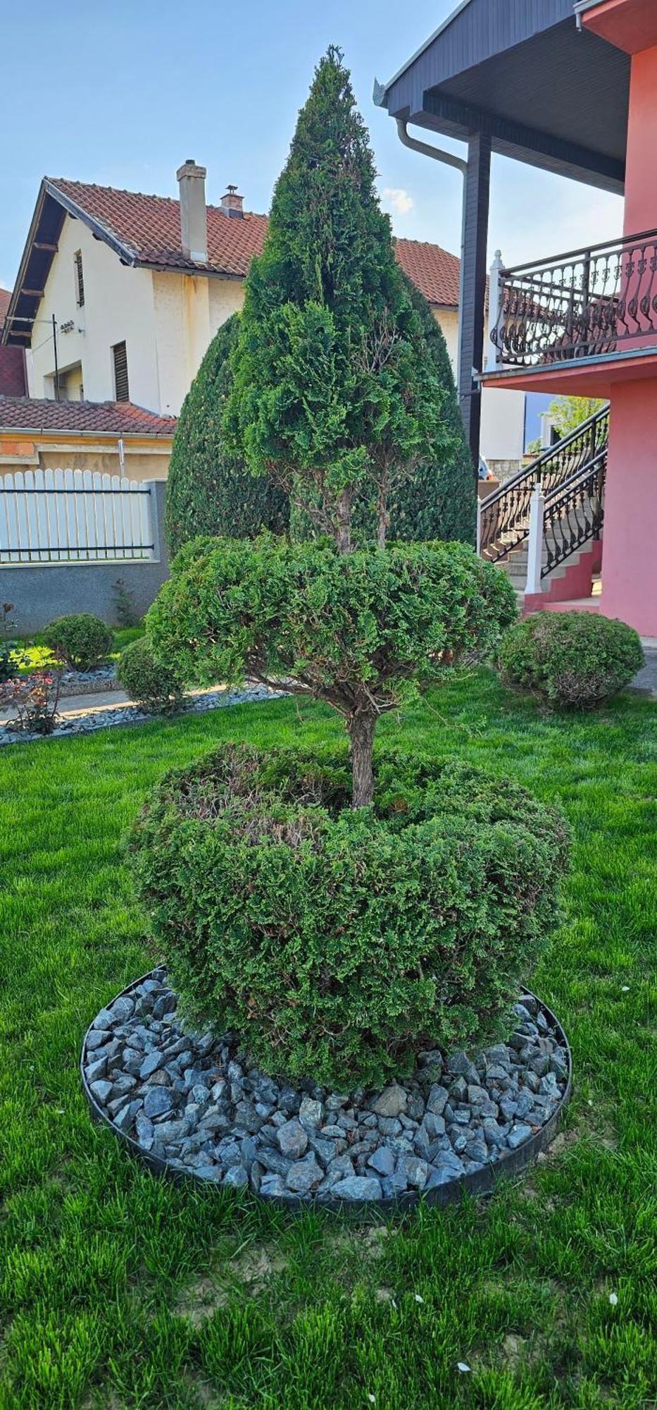 Guest House Lona Golubac Exterior photo
