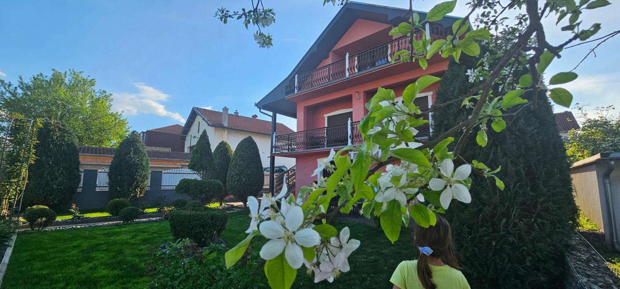 Guest House Lona Golubac Exterior photo